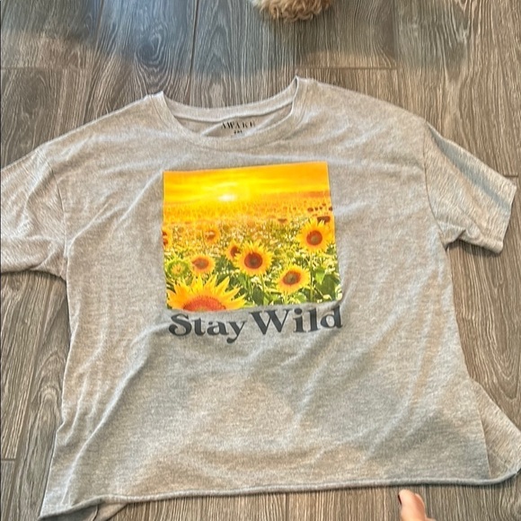 Awake Gray Graphic T-Shirt with Crew Neck and Short Sleeves - Picture 2 of 5